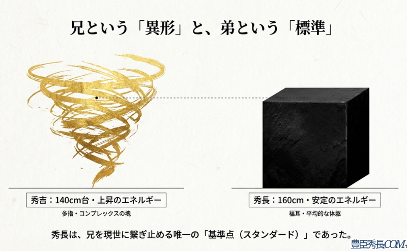 兄・秀吉の140cm台・多指という「異形のエネルギー」と、弟・秀長の160cm・平均的体躯という「安定のエネルギー」の対比図