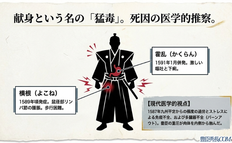 1589年頃の「横根(リンパ節腫脹)」と1591年の「霍乱(嘔吐・下痢)」の症状に加え、現代医学の視点から過労やストレスによる免疫不全、バーンアウトの可能性を指摘するスライド 。